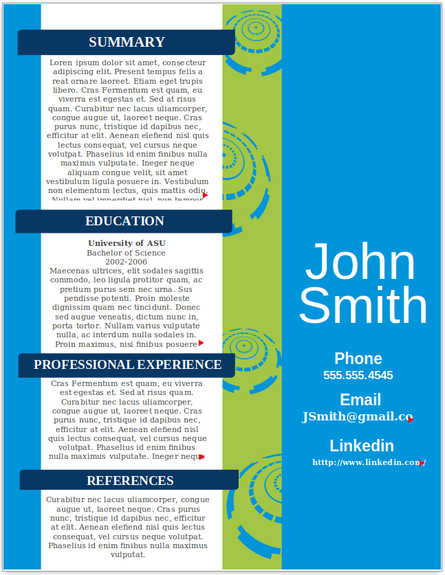Software Developer