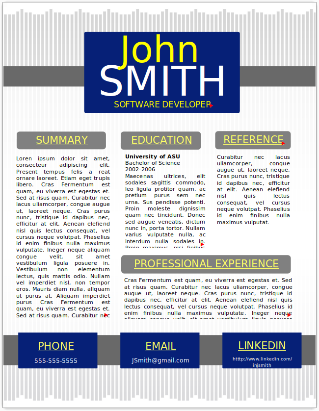 Software Developer