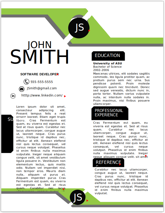 Software Developer