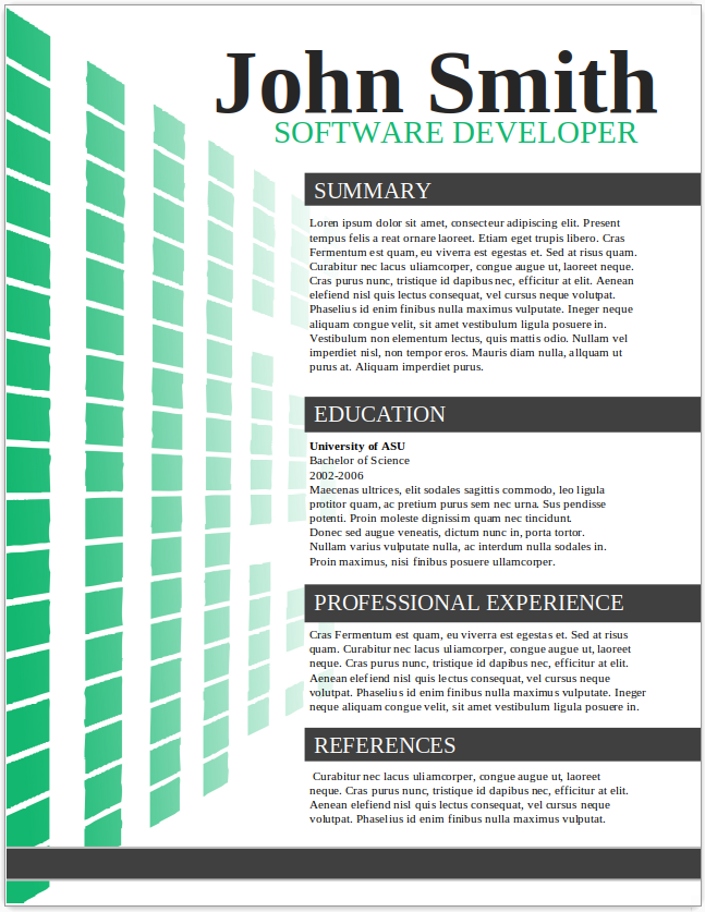 Software Developer