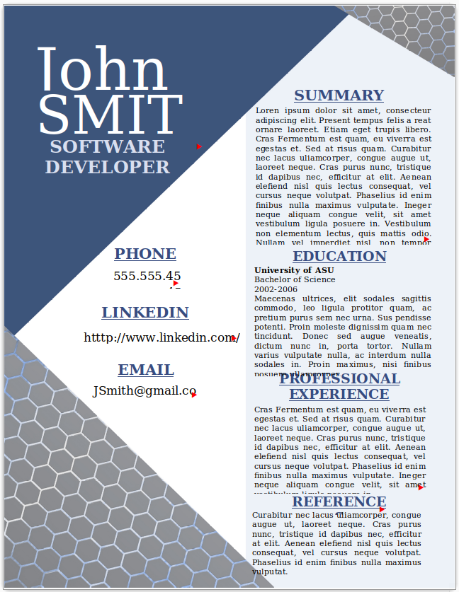 Software Developer