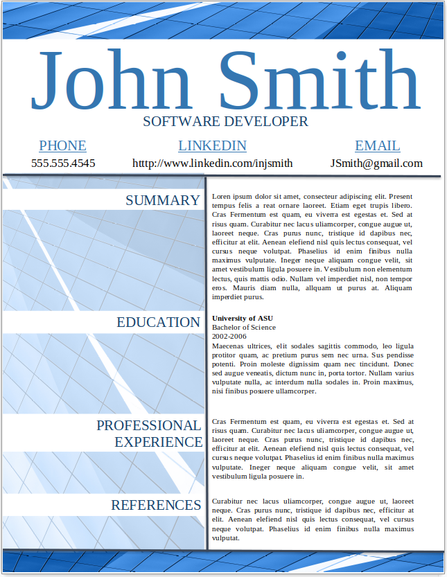 Software Developer