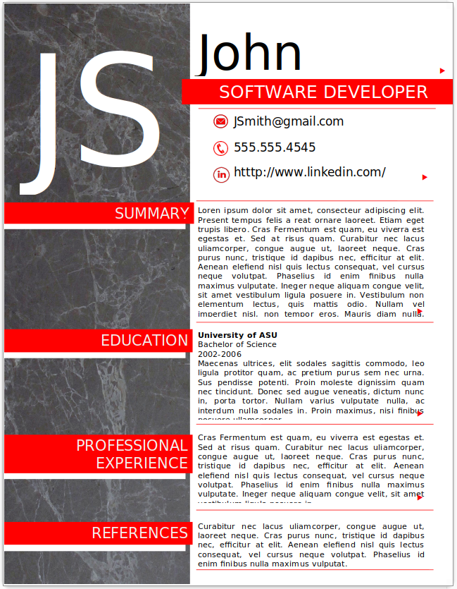 Software Developer