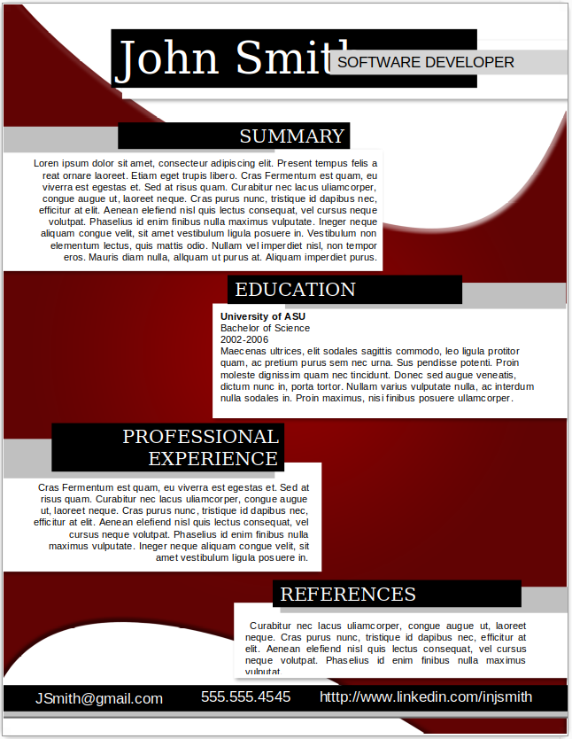Software Developer